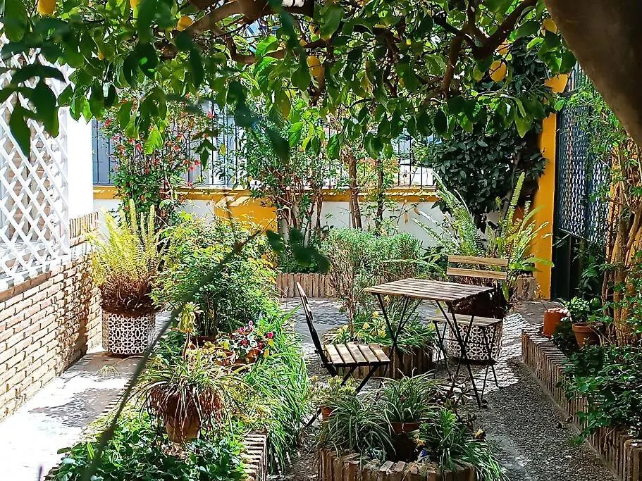 Casa Limonero Con Parking Gratis Junto A Centro Historico Villa Granada Spain