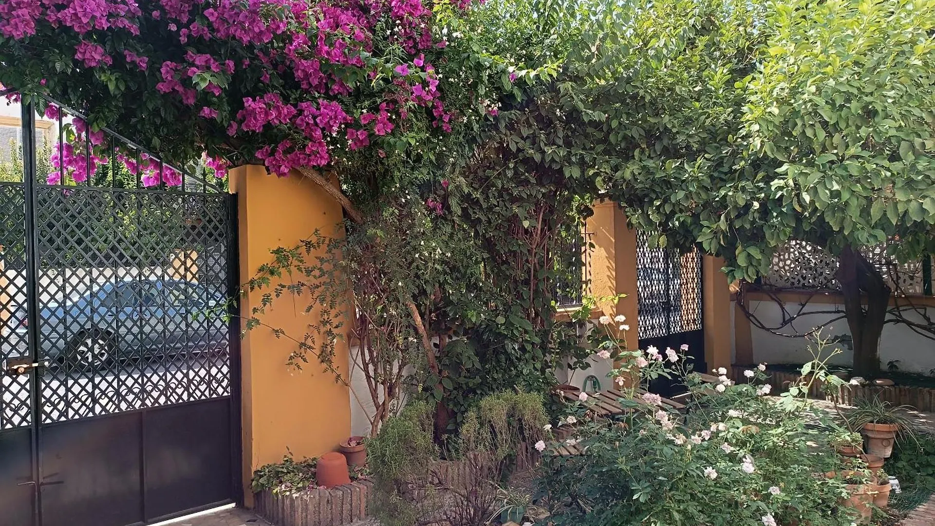 Casa Limonero Con Parking Gratis Junto A Centro Historico Villa Granada 0*,  Spain